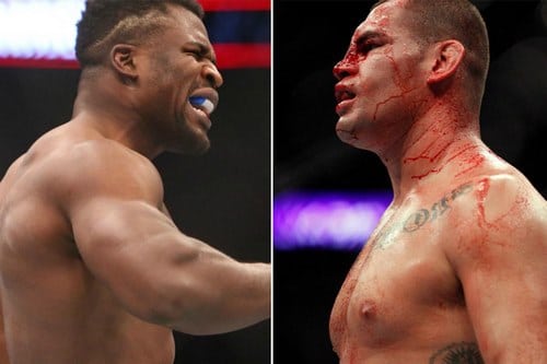 بهترین مبارز ufc
