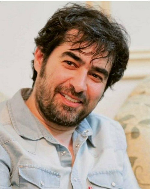 اخبار سلبریتی ها