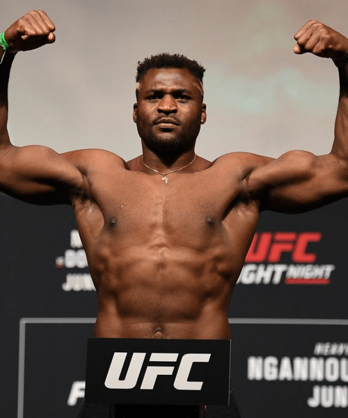 قوانین مسابقات ufc چیست؟