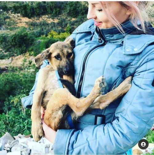 مصاحبه با آیلار دیانتی