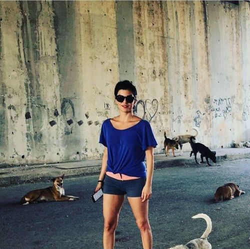 آیلار دیانتی کیست؟