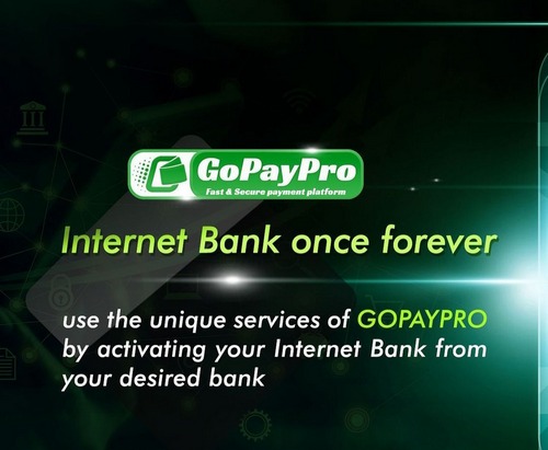 گو پی پرو چیست؟