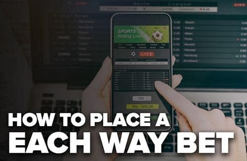 استقبال کاربران حرفه ای از این گزینه چگونه است؟