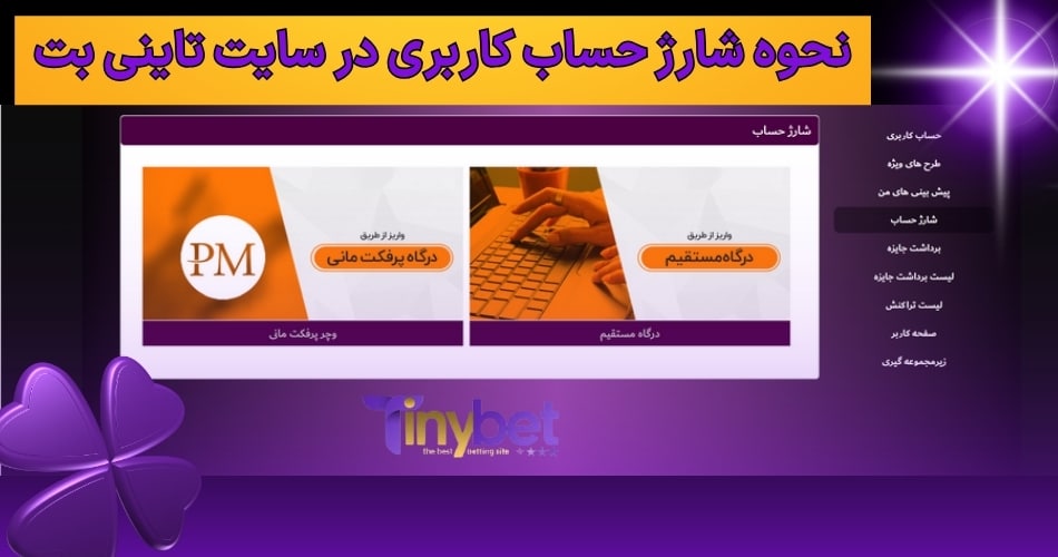 نحوه شارژ حساب کاربری در سایت تاینی بت